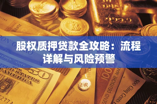 北京股权质押贷款全攻略：流程详解与风险预警