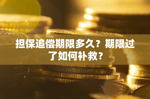 北京担保追偿期限多久？期限过了如何补救？