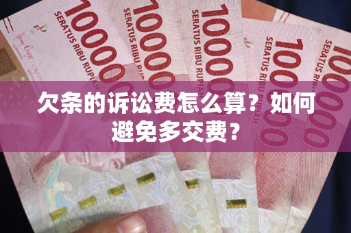 北京欠条的诉讼费怎么算？如何避免多交费？
