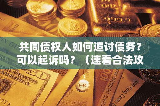 北京共同债权人如何追讨债务？可以起诉吗？（速看合法攻略）